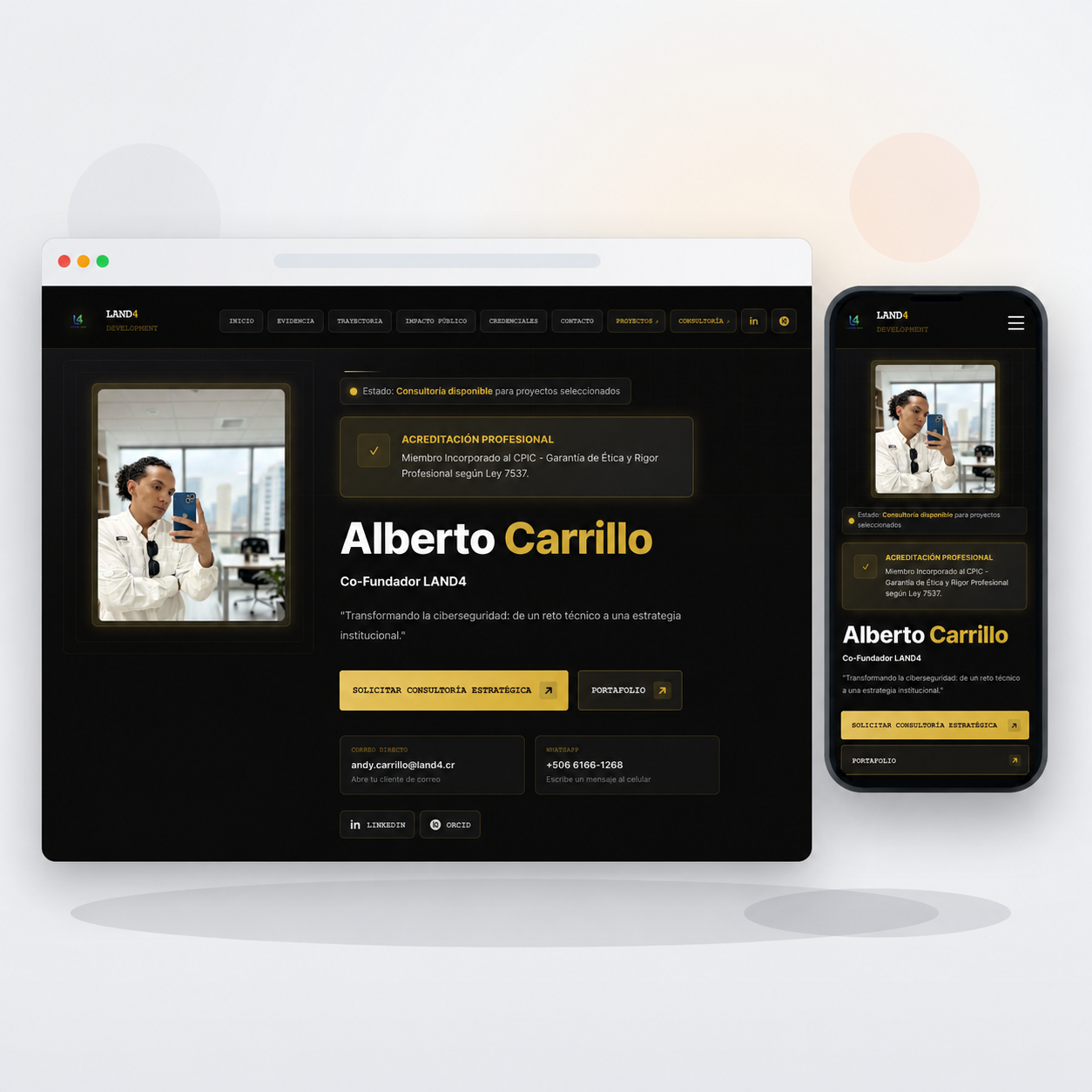Portafolios Profesionales